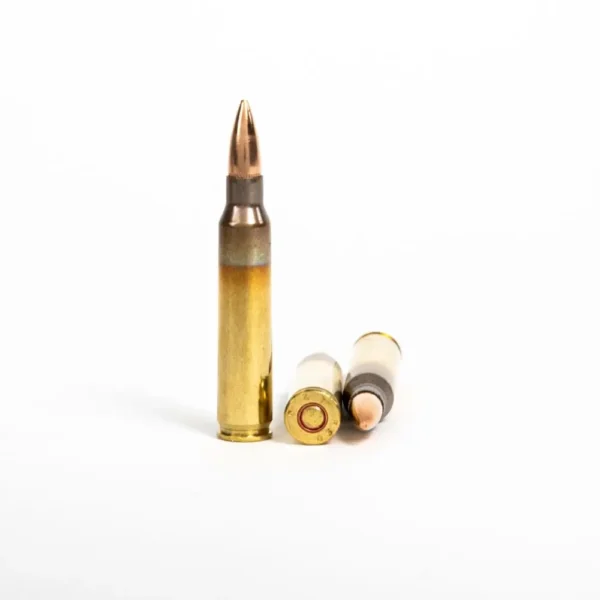 5.56x45mm – 55 Grain FMJ – PMC (5.56X) – 1000 Rounds - Image 3